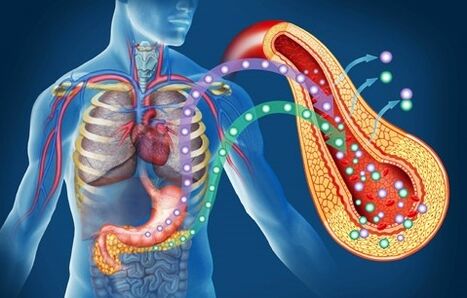 HeForm Plus restores insulin sensitivity